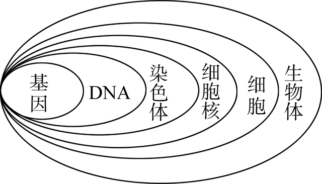 胚珠的发育和胚囊的形成总结，济南版生物八年级上册知识点总结