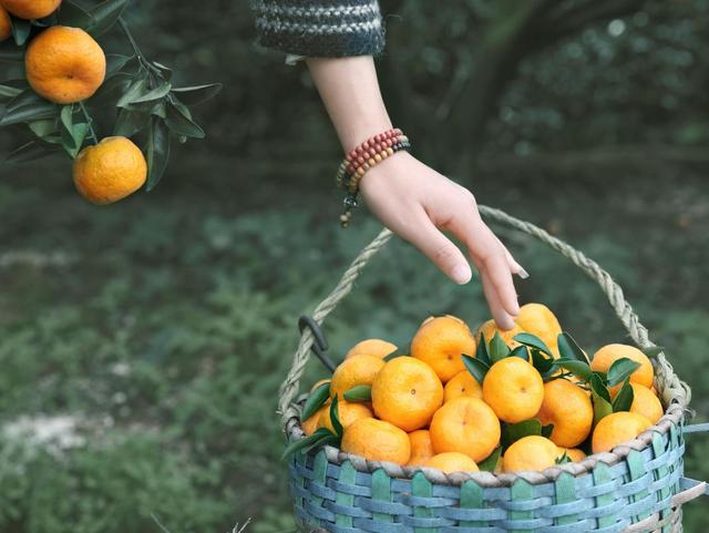 江西有哪些干货特产，江西有哪些干货特产好吃（江西人就是靠这些天赐特产）