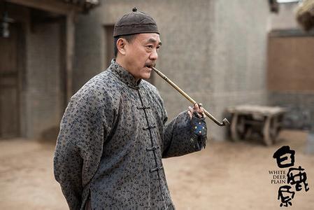 白鹿原鹿兆海结局，白鹿原鹿兆鹏和鹿兆海结局（干儿子能坐三四席为何还是弄不过白家）