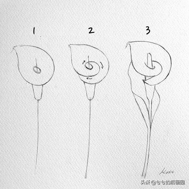 简单的花怎么画，玫瑰花画法（3个简单步骤教你画出一朵小花花）