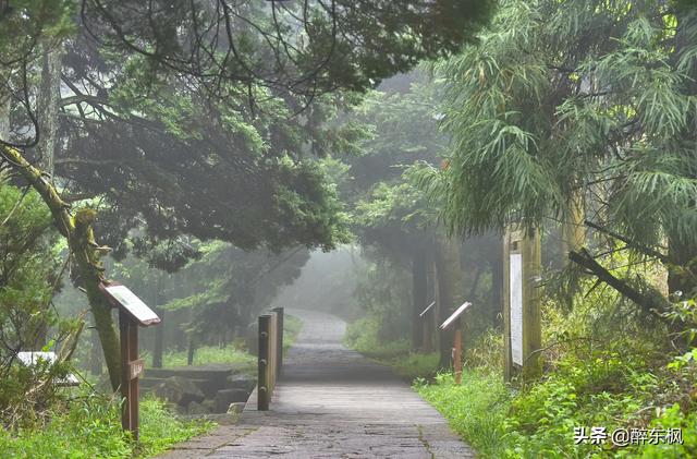 春夜喜雨的古诗，春夜喜雨的八句诗（杜甫的《春夜喜雨》）