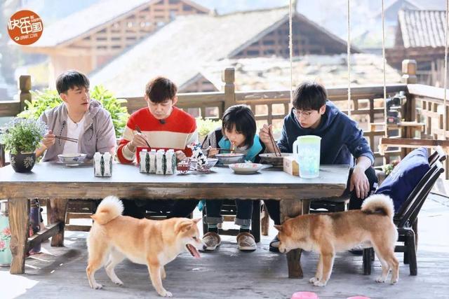 向往的生活蘑菇屋在哪里，向往的生活磨菇屋在哪（《向往的生活》路透）