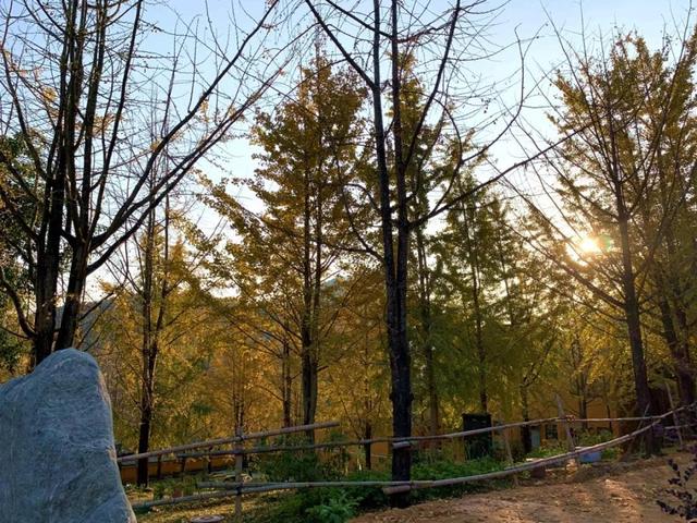 韶关云门寺，韶关云门寺图片（韶关这座色彩斑斓的古寺现在去正好）