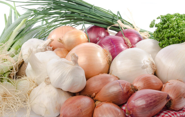 狗粮人能吃吗，狗粮可以人吃么（这几种“人食”真的不适合狗狗吃）