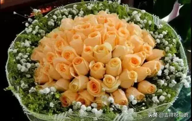 祝你情人节快乐，情人节快乐祝福（传递幸福、传递爱）