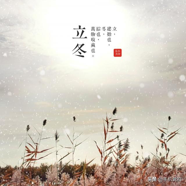 轻烟老树寒鸦什么意思，轻烟老树寒鸦前面一句是什么（不妨跟着“古诗”拍拍看）