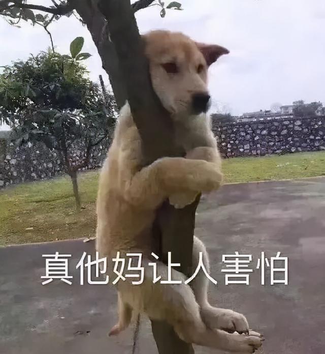 qq技术导航天下，qq导航天下（导航在手，天下我有）