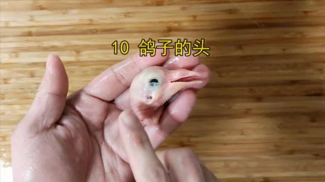 鸽子喜欢吃什么，家养的鸽子吃什么（23年一级大厨专业详细讲解）