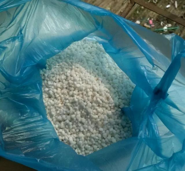 绿萝怎么养才能更旺盛，绿萝怎么养才能更旺盛用什么肥料