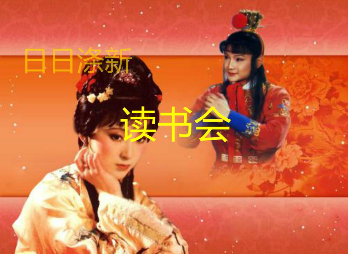 代写法律文书收费标准（一个暴戾的林黛玉）