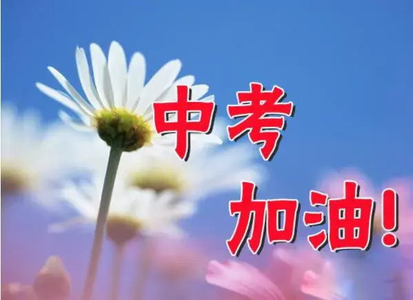 麻城华英学校（2020年黄冈市中考下水作文）