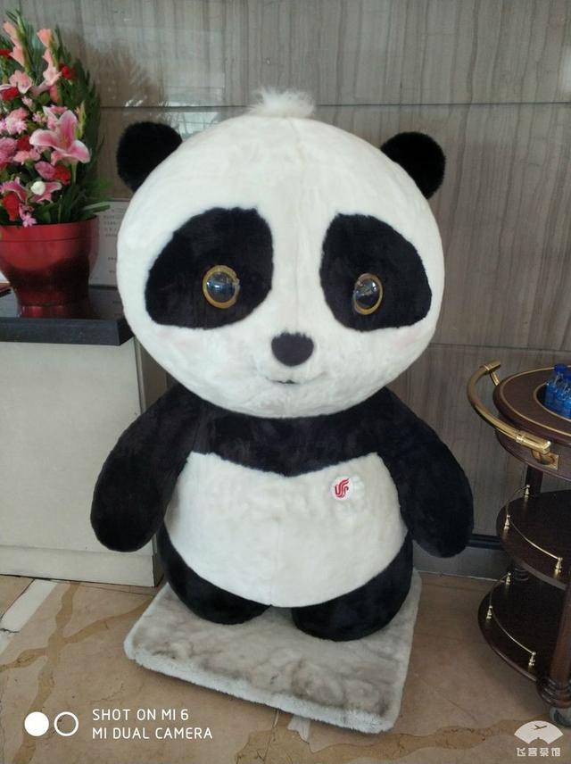 国航最高级别什么卡，国航白金卡什么级别（经济舱也能享受贵宾室、提前选座等权益）