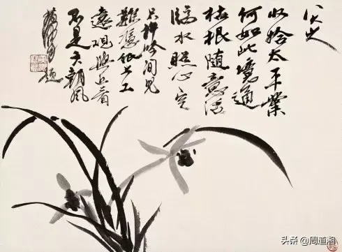 草的简笔画怎么画，猪笼草的简笔画怎么画（兰草的画法）
