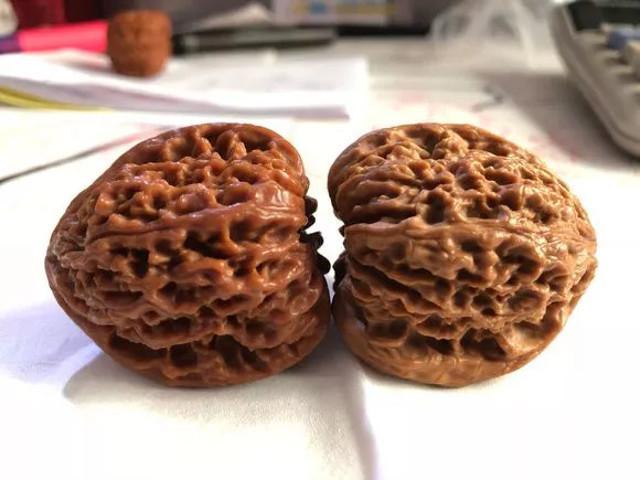 铁核桃和麻核桃区别，铁核桃和麻核桃怎么区分（一文带你全方位了解文玩核桃）