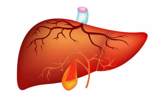 息福欣的功效，息福欣的功效与作用（胆囊息肉多发还是单发危险）