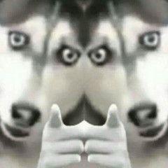 lol游戏中怎么回复好友，lol游戏里怎么回复好友私聊（《英雄联盟手游》被“封杀”）