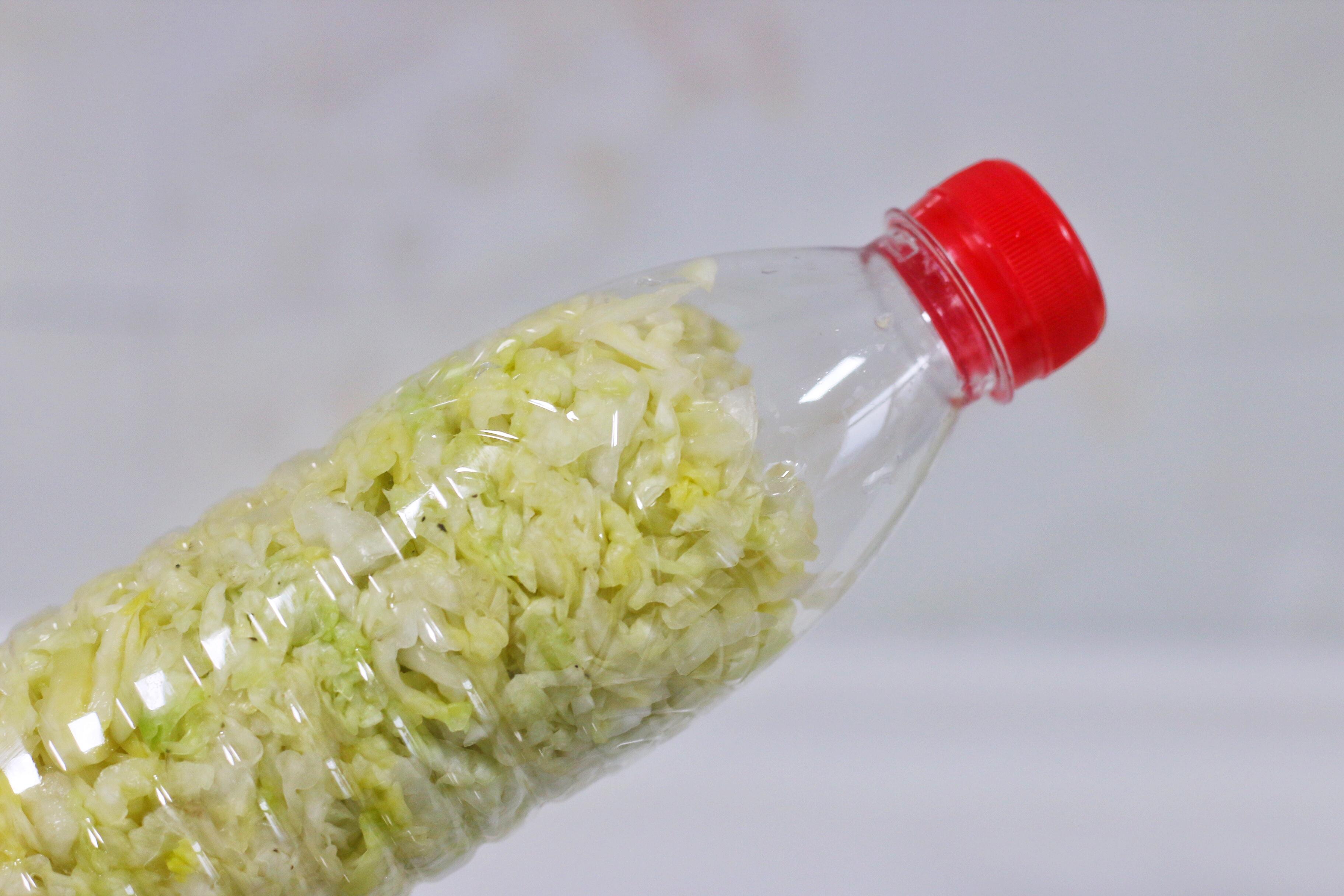 东北酸菜怎么腌制方法，东北人腌酸菜的方法（现在腌制也不晚）