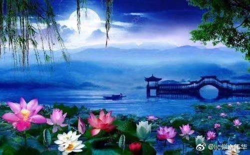 似水年华的意思，似水年华下一句是啥（沁园春·似水年华）