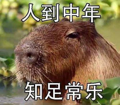 豚鼠（豚鼠特工队），地表最强治愈系生物——水豚（豚鼠特工队主角）