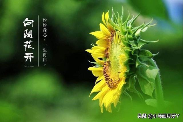 迨怎么读什么意思，谁能告诉我这些字怎么读?