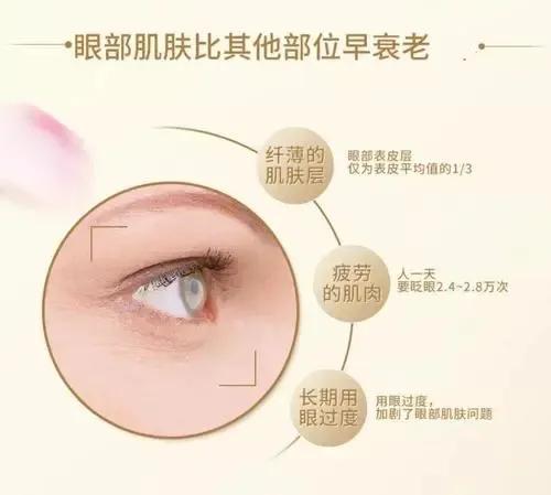 眼部美容知识，眼部美容知识培训（眼部肌肤如何护理）