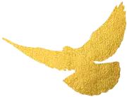 生死抉择观后感,电影生死抉择观后感(那些打动我们的文艺作品) 生死抉择观后感,电影生死抉择观后感(那些打动我们的文艺作品)