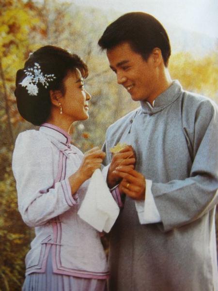 沈孟生演过的电视剧，沈孟生（8090年代中国大陆引进的台湾电视剧）