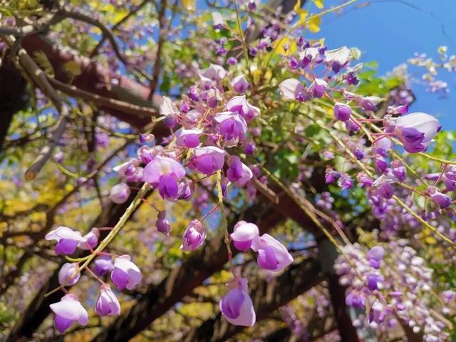 南开大学滨海学院是几本，南开大学滨海学院排名多少是几本（<一>南开大学滨海学院）