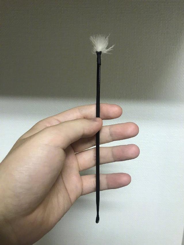 五条悟头像高清帅气，五条悟头像微信（那就找只猫扮成他）