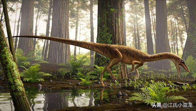 re网名的含义，Re微信昵称（2020古生物学家到底命名了多少种恐龙）