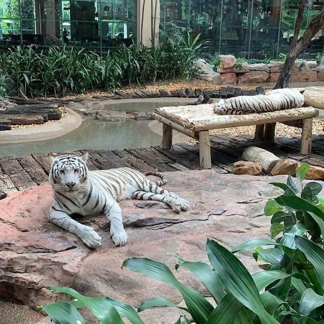 广州自助餐厅推荐，广州市天河区哪里有得自助餐吃（广州 10 家超强自助餐攻略）