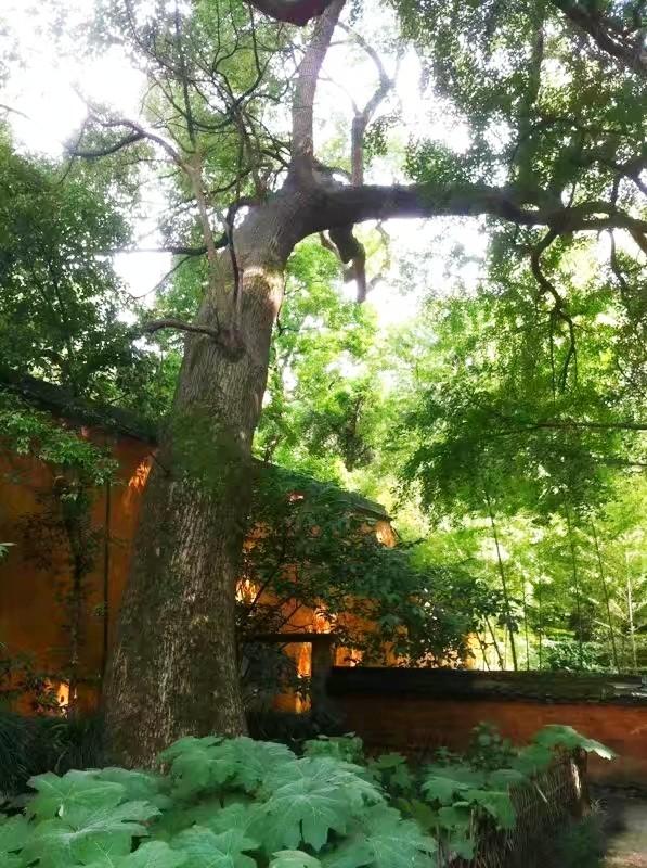 天台山的国清寺在什么地方，天台山·国清寺