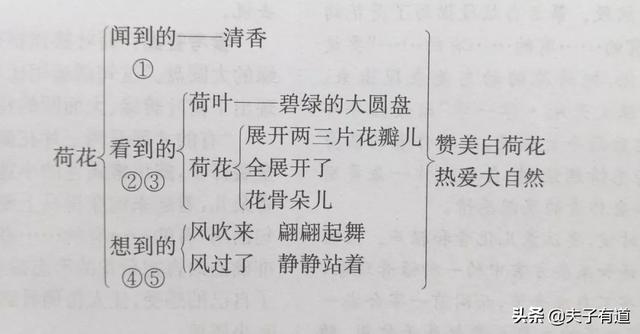 鸯字怎么组词，鸯字怎么组词三年级（部编版语文三年级下册第一单元汇总）