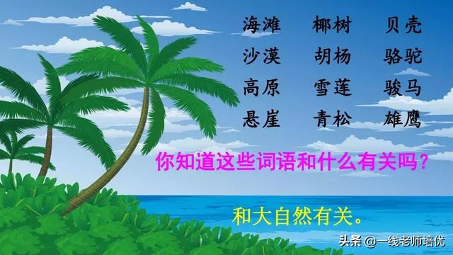 什么的骏马填空成语，什么的骏马填合适的成语（部编版小学语文二年级上册《语文园地七》重点知识+图文解读）