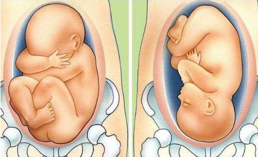 胎儿畸形最早什么时候可以查出来，几个月可以查胎儿畸形（胎儿最早什么时候能查出“发育不良”）