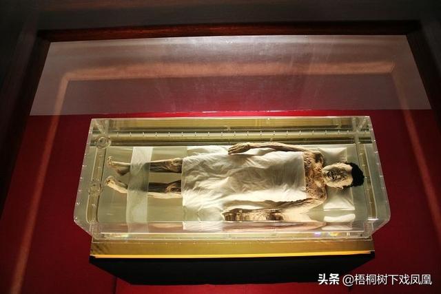 马王堆汉墓古尸，马王堆汉墓女尸刚出土（长沙马王堆女尸“全面体检”）