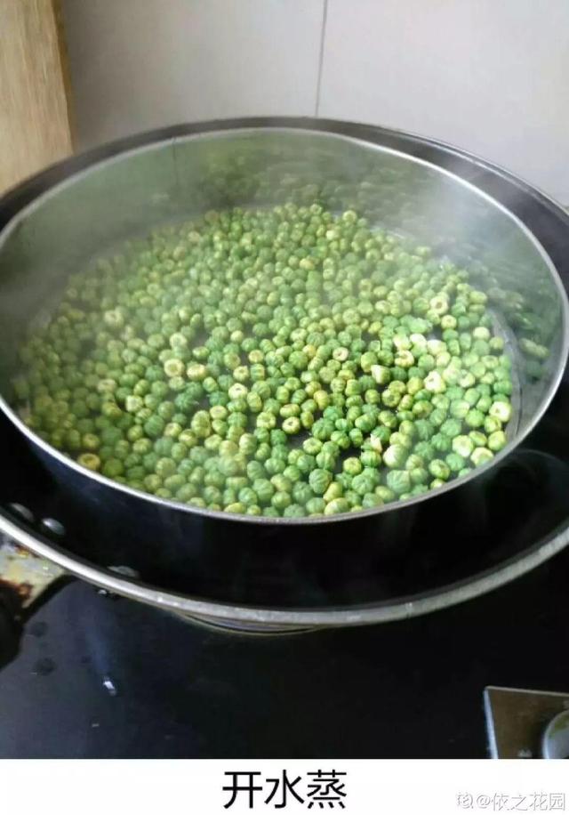 不锈钢盆可以放烤箱吗，烤箱里可以放不锈钢盆吗（10种花最养人）