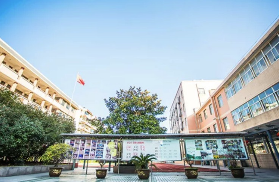 杭州树兰中学(杭州拱墅树兰中学升学率)