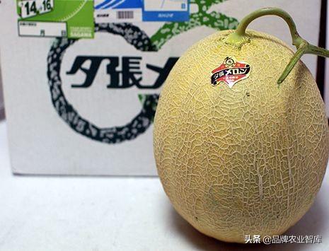 独果是什么，独果是真的吗（吃水果吃掉一套房、几辆车）