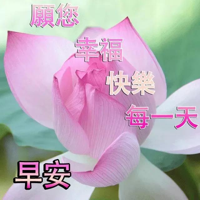 经典的早晨问候语,每日清晨问候语大全(简短早上好问候语大全)