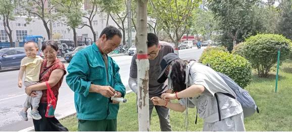 美国红枫天牛防治方法，美国红枫天牛用什么药最好（消除天牛对植物危害）