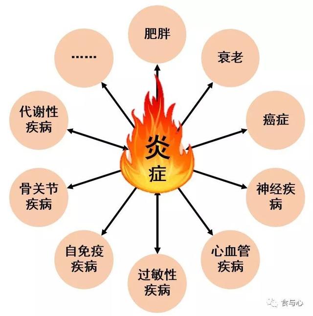 sfb是什么意思，sfnb是什么意思（你必须知道的热知识<二>）