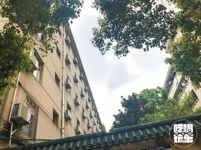 民政学院好吗，民政学院本科专业（民政学院：在大长沙）