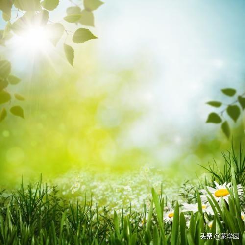 春意可以用什么形容词，形容春意浓的词语（38个描写春天的四字成语）