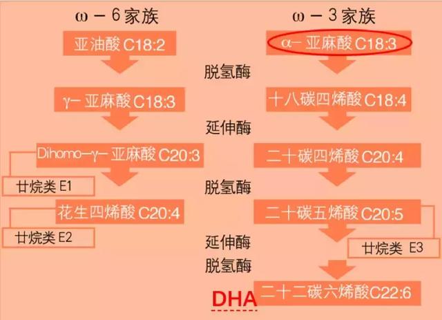 藻油dha适合多大孩子，宝宝要不要吃dha海藻油（DHA能让宝宝更聪明）