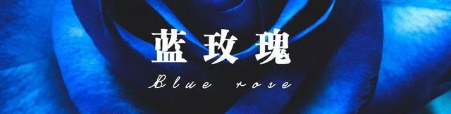 各种玫瑰花的含义，各色的玫瑰花有什么含意（一篇文章认全花店必备80种玫瑰花）