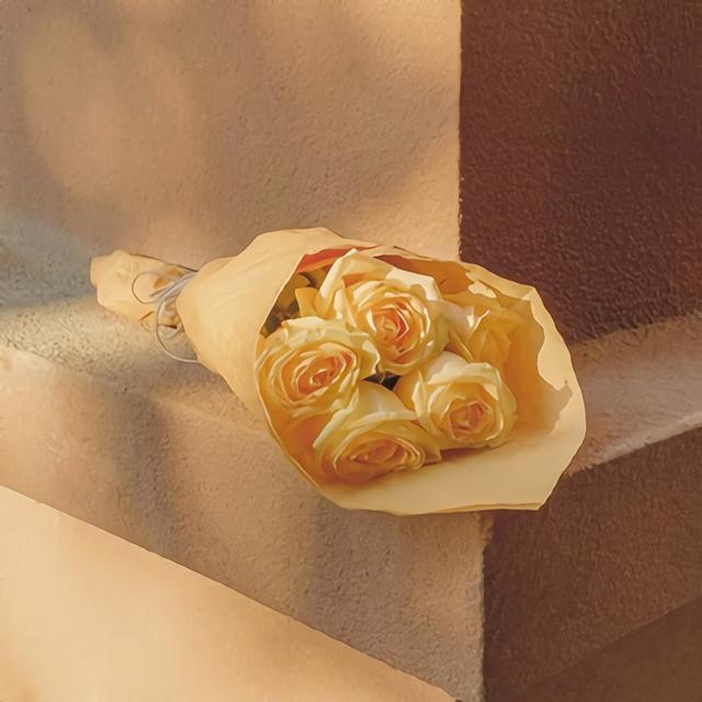 治愈系神仙温柔背景图 “人间美好  日落和你”，神仙治愈系温柔头像（那些让你一眼万年沦陷很久的神仙文案）