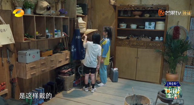 向往的生活开局推到张子枫，张子枫是谁推荐到向往的生活（《向往的生活4》张子枫被疑社恐）