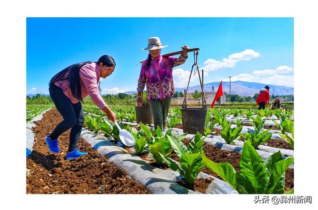 jkmtl00是什么型号，jkmal00是什么型号的（2020年凉山第二届全民手机摄影大展作品欣赏）