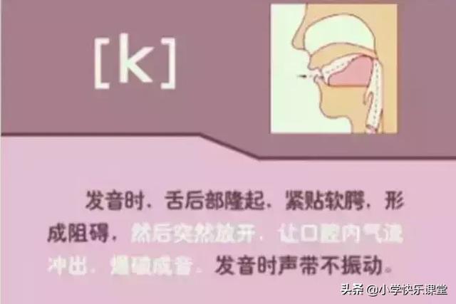 音标读音表发音教学，音素表怎么写（48个国际英语音标发音表及口型）